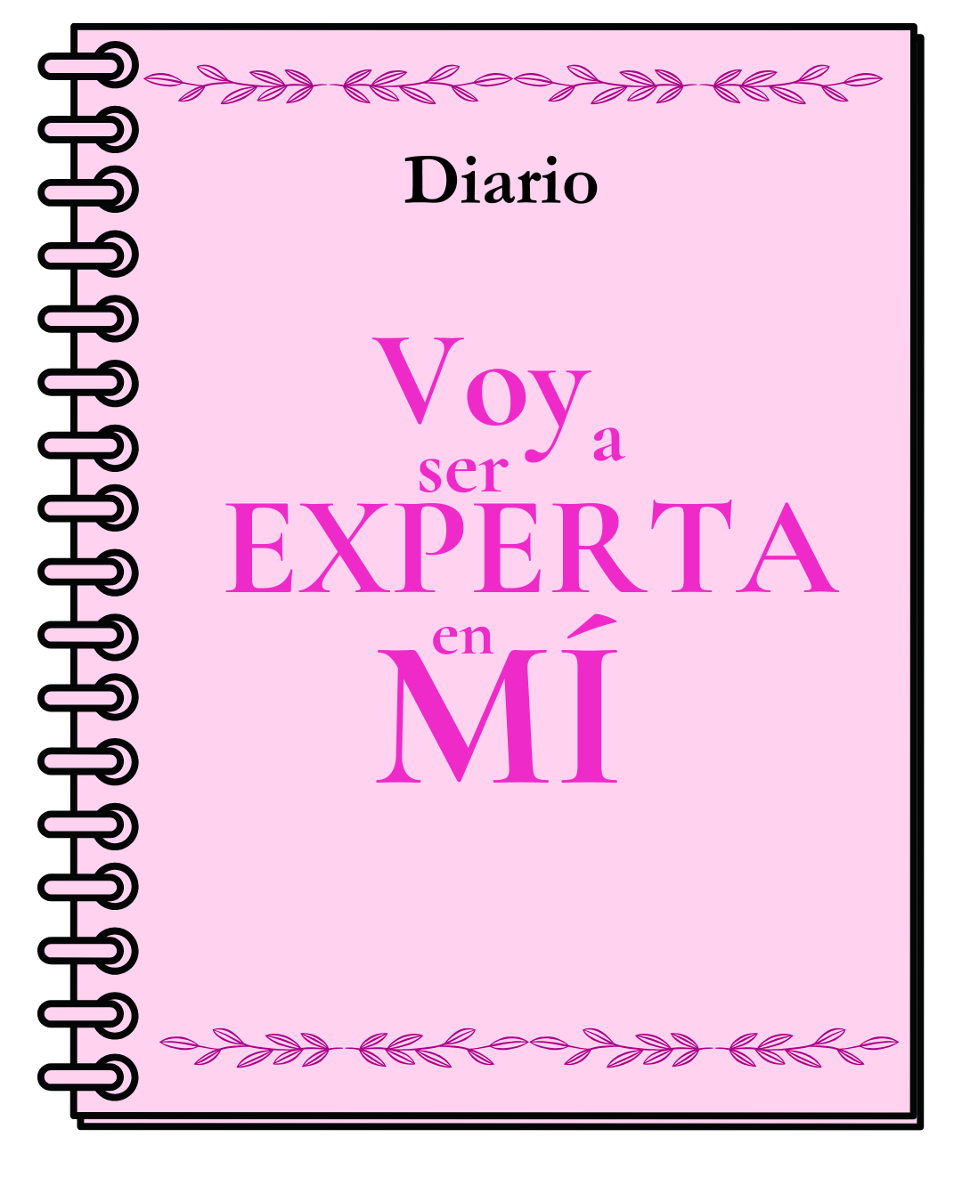 logo diario